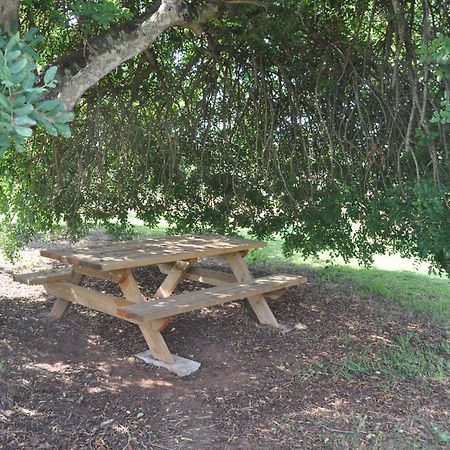 Can Porreti Agroturisme Lloret de Vistalegre Exterior foto