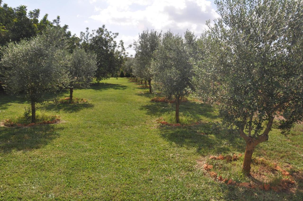 Can Porreti Agroturisme Lloret de Vistalegre Exterior foto